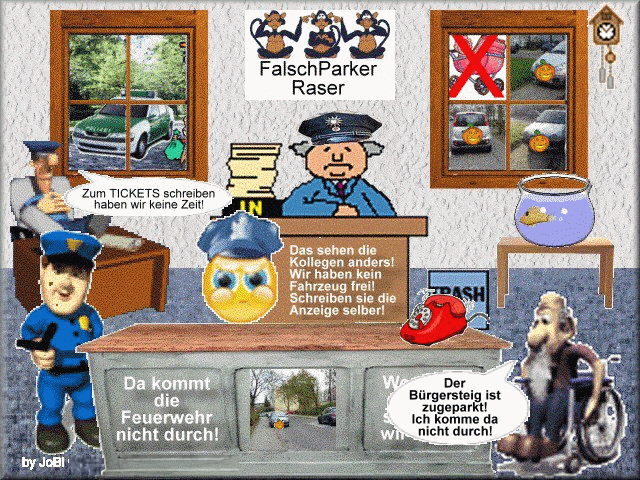 Galerie-Bild:  